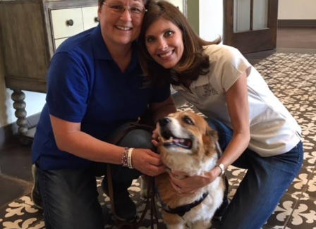 Handlers and their therapy dogs together at an event