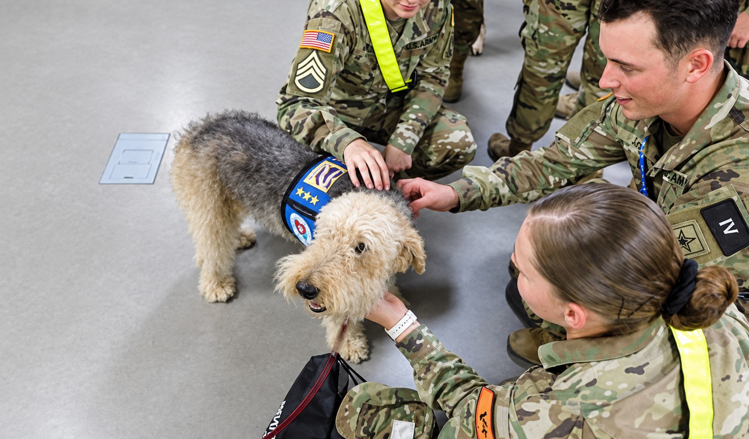 Service members meeting a Paws 4 Hearts therapy dog